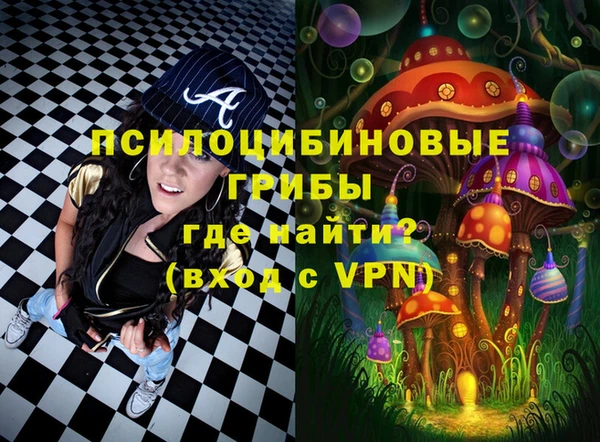 гидропоника Богданович