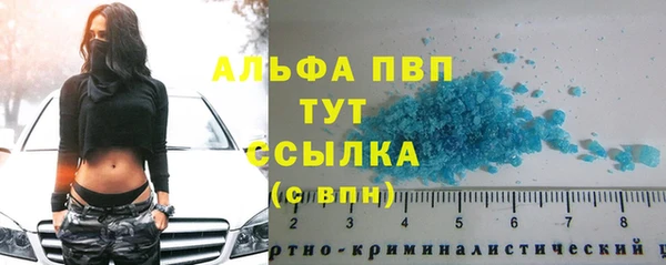 стаф Богородицк
