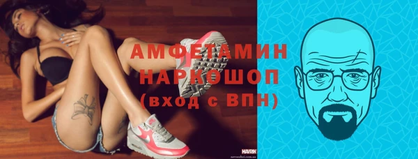 мдпв Богородск