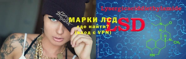 стаф Богородицк