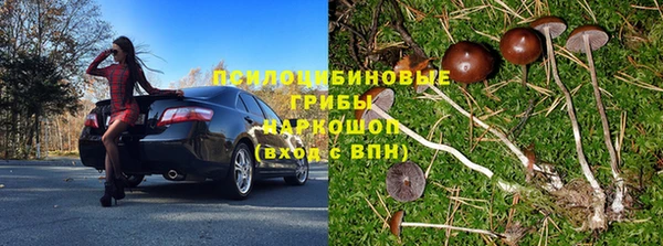 гидропоника Богданович