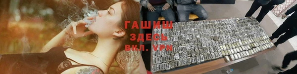 мдпв Богородск