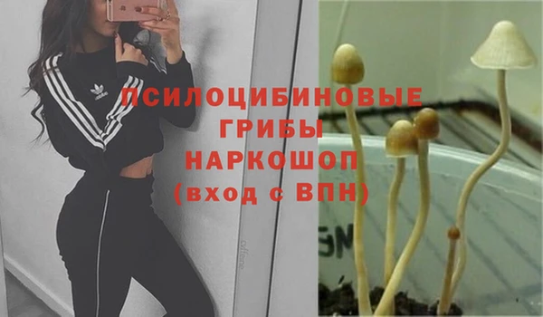 гидропоника Богданович
