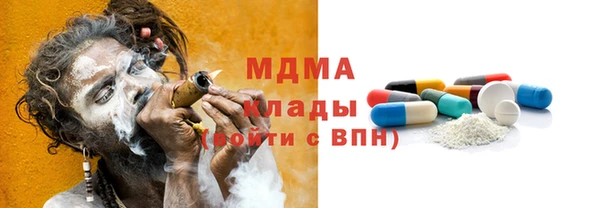 мдпв Богородск