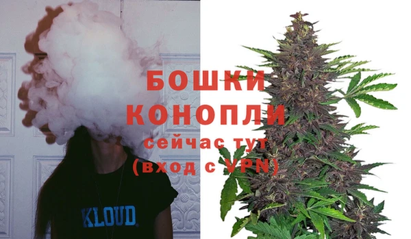 стаф Богородицк